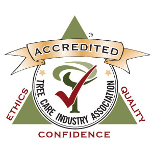 Accredited badge - Tree Care Industry Association